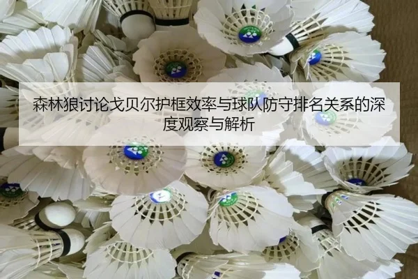 森林狼讨论戈贝尔护框效率与球队防守排名关系的深度观察与解析