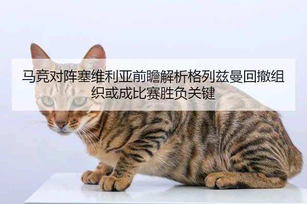 马竞对阵塞维利亚前瞻解析格列兹曼回撤组织或成比赛胜负关键